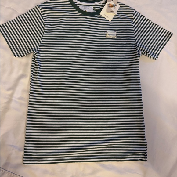 Cactus Men's Short Sleeve Striped Tee - Green and White - Picture 1 of 4